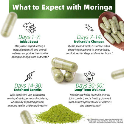 Pure Moringa Capsules (1200mg) for Wellness Support